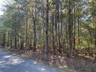 0 Big Lake Road  Pineville LA 71360 photo