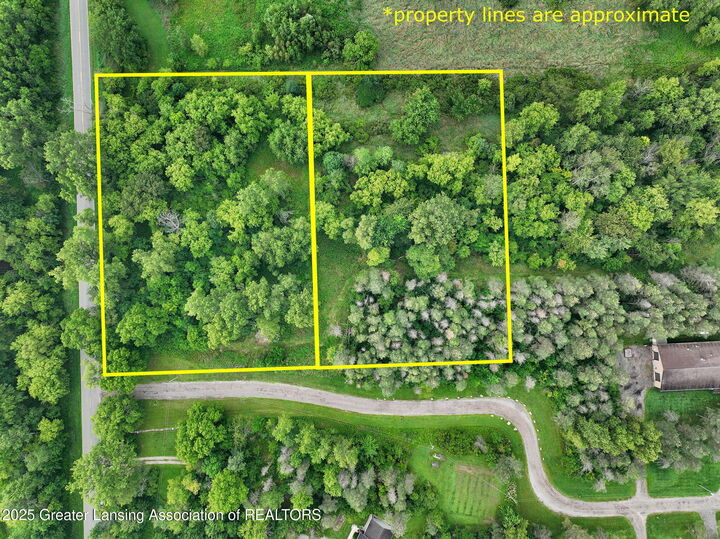 Property Photo: Lot A Lauren Way MI 48872