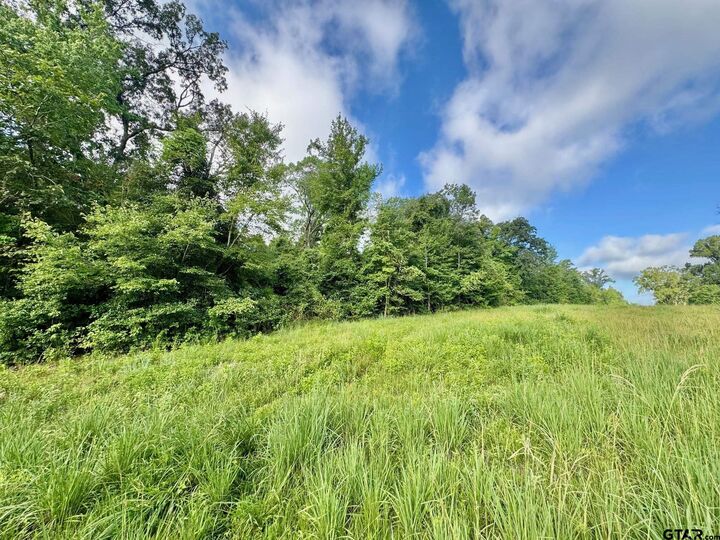 Property Photo:  Tbd Cr 369  TX 75792 
