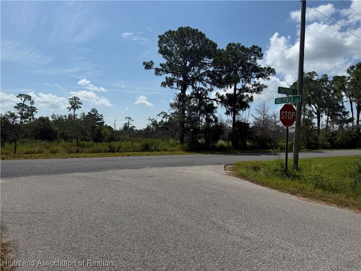 Property Photo:  3101 Holifield Avenue  FL 33852 