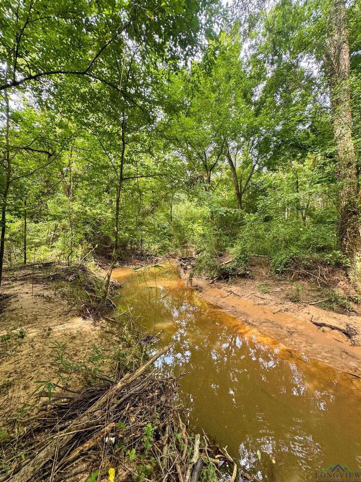 Property Photo: 4750 S Stateline Road TX 75501