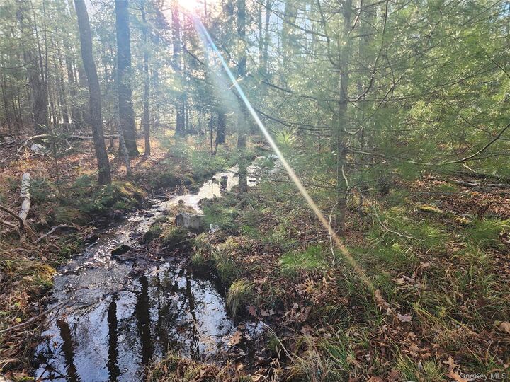 Property Photo: 0 Taras Schevchenko Road NY 12737