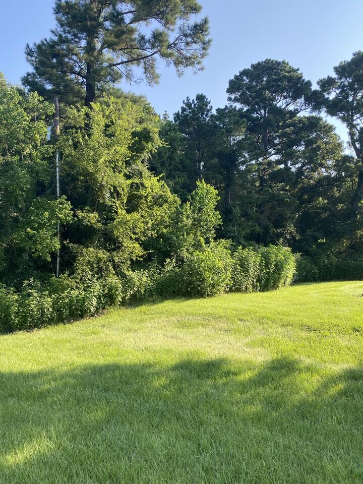 Property Photo:  132685 South John Redditt Drive  TX 75904 