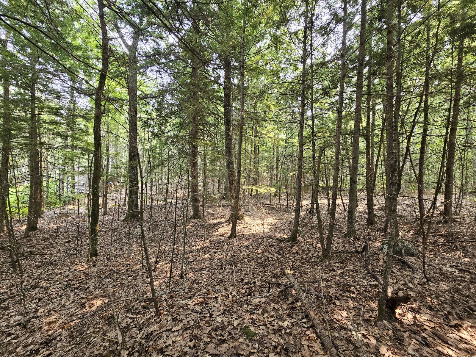 Property Photo:  0 Gould Road  ME 04473 