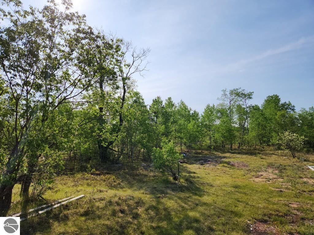 Property Photo: 4935 Lindsey Lane MI 49735