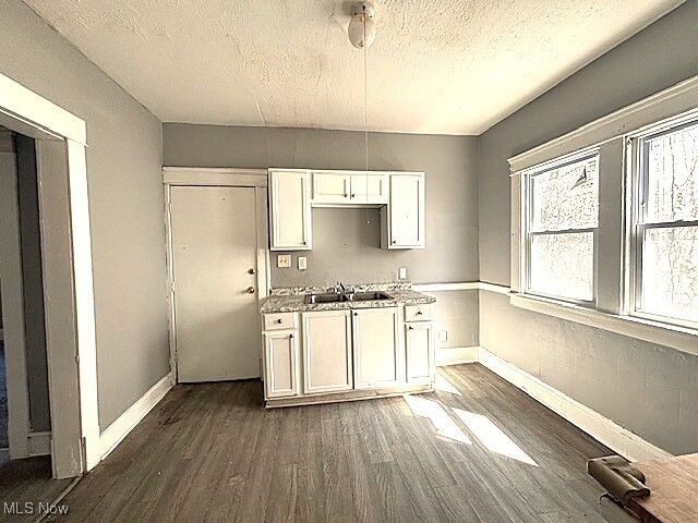 Property Photo: 11109 Greenview Avenue OH 44108