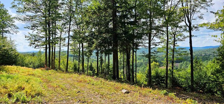 Property Photo:  7-351-B Patterson Hill Road  NH 03242 