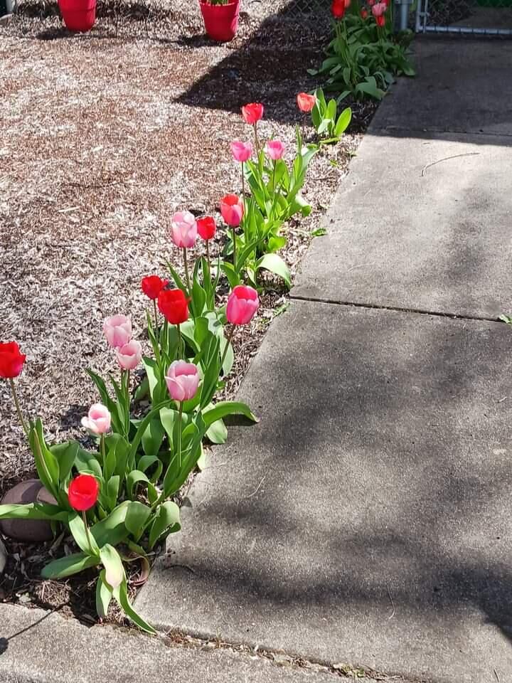 Property Photo:  633 E Archwood Drive Unit 44  OR 97524 