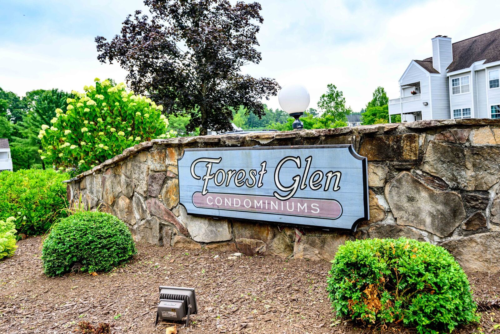 Property Photo: 1 Forest Glen Circle 20 CT 06457