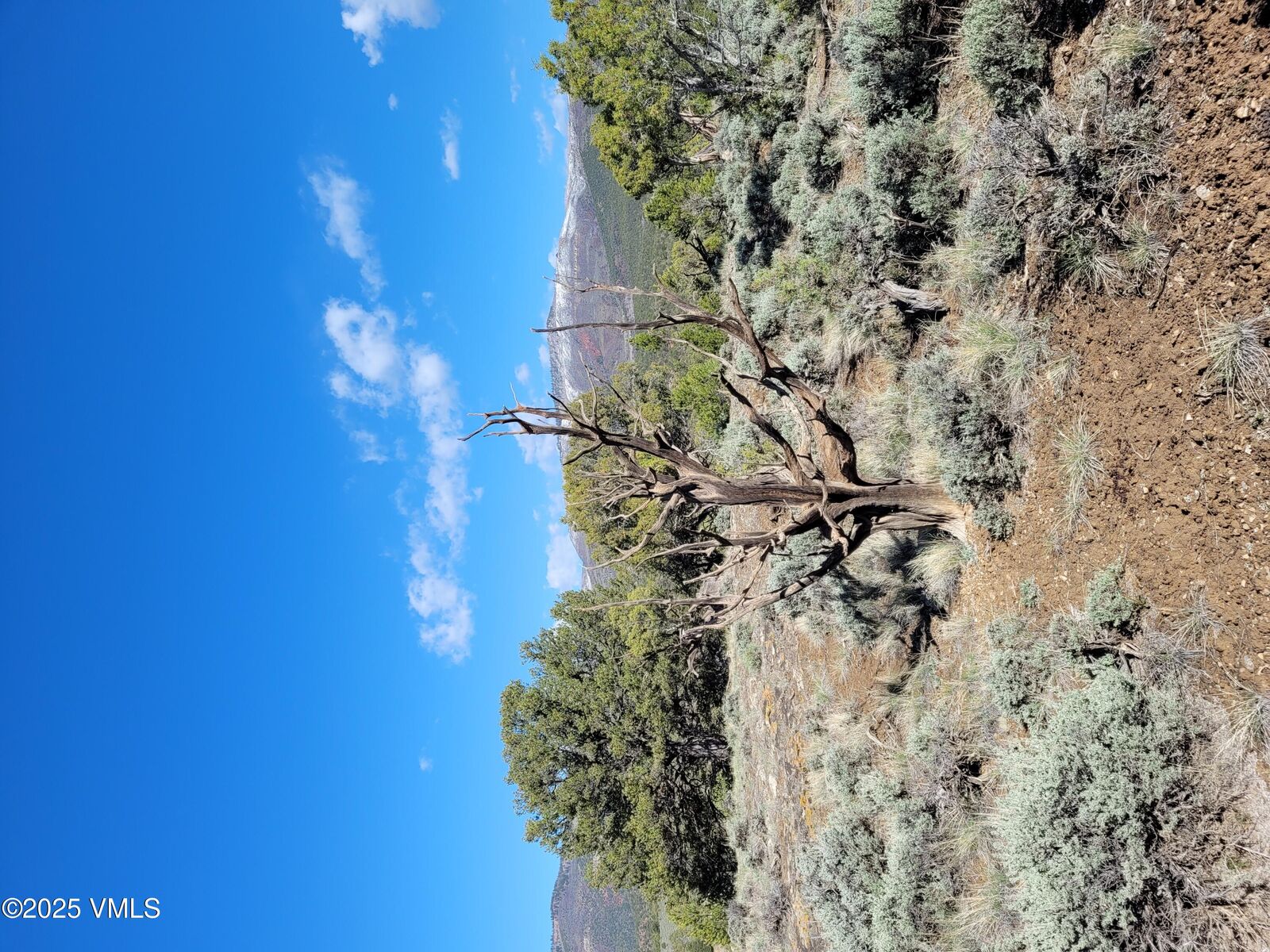 Property Photo:  00755 Pinon Crest Way  CO 80463 
