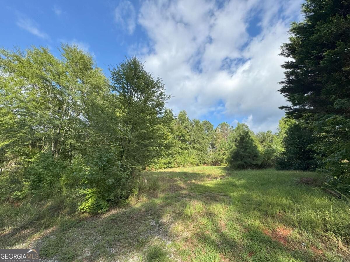 Property Photo:  155 Mulberry Lane  GA 30633 