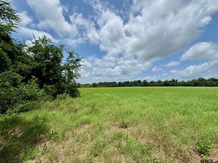 Property Photo:  Tbd Cr 3040  TX 75440 