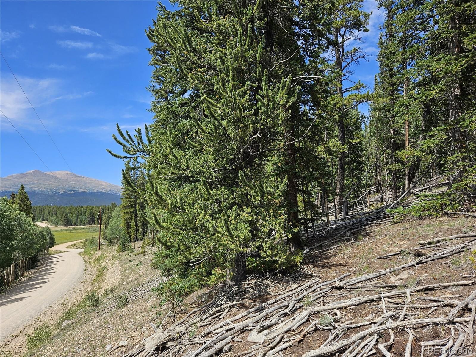 Property Photo:  44083 Co Rd 1  CO 80440 