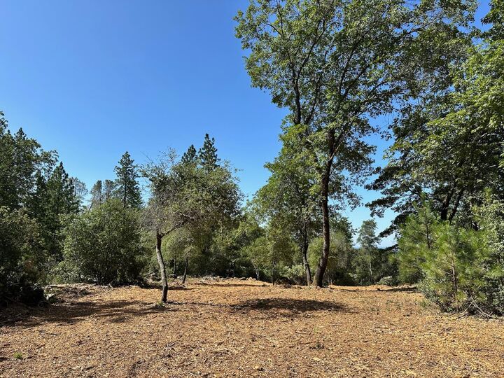 Property Photo:  387 E Summit View Drive  CA 95722 