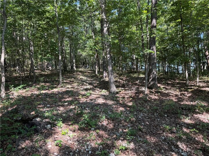 Property Photo:  000 Tract A County Road 516  AR 72616 