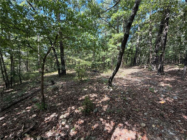 Property Photo:  000 Tract D County Rd 516  AR 72616 