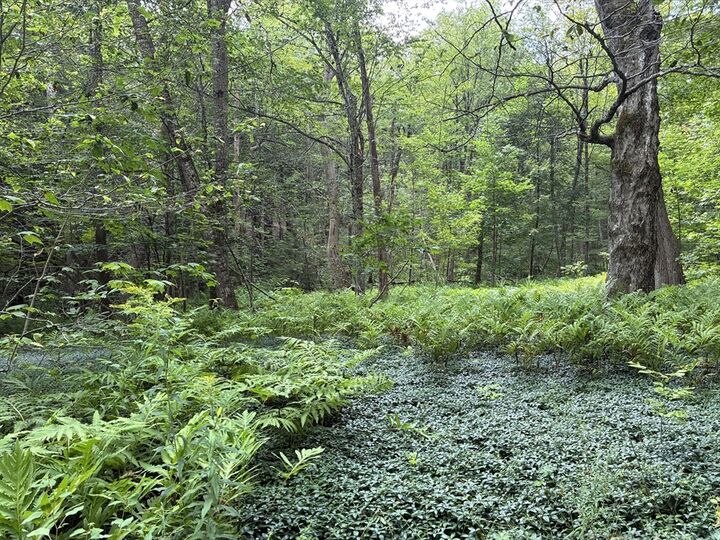 Property Photo:  139 Taylor Brook Rd  MA 01346 
