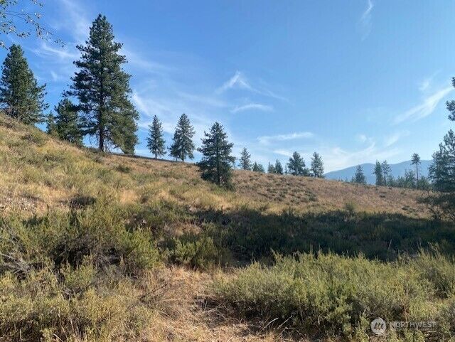 Property Photo:  0 Xxx  Tbd  WA 98862 