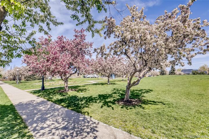 Property Photo: 1038 Jasmine Street CO 80220