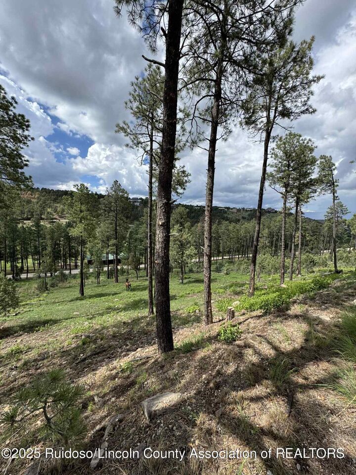 Lot 68 El Camino Drive  Alto NM 88312 photo