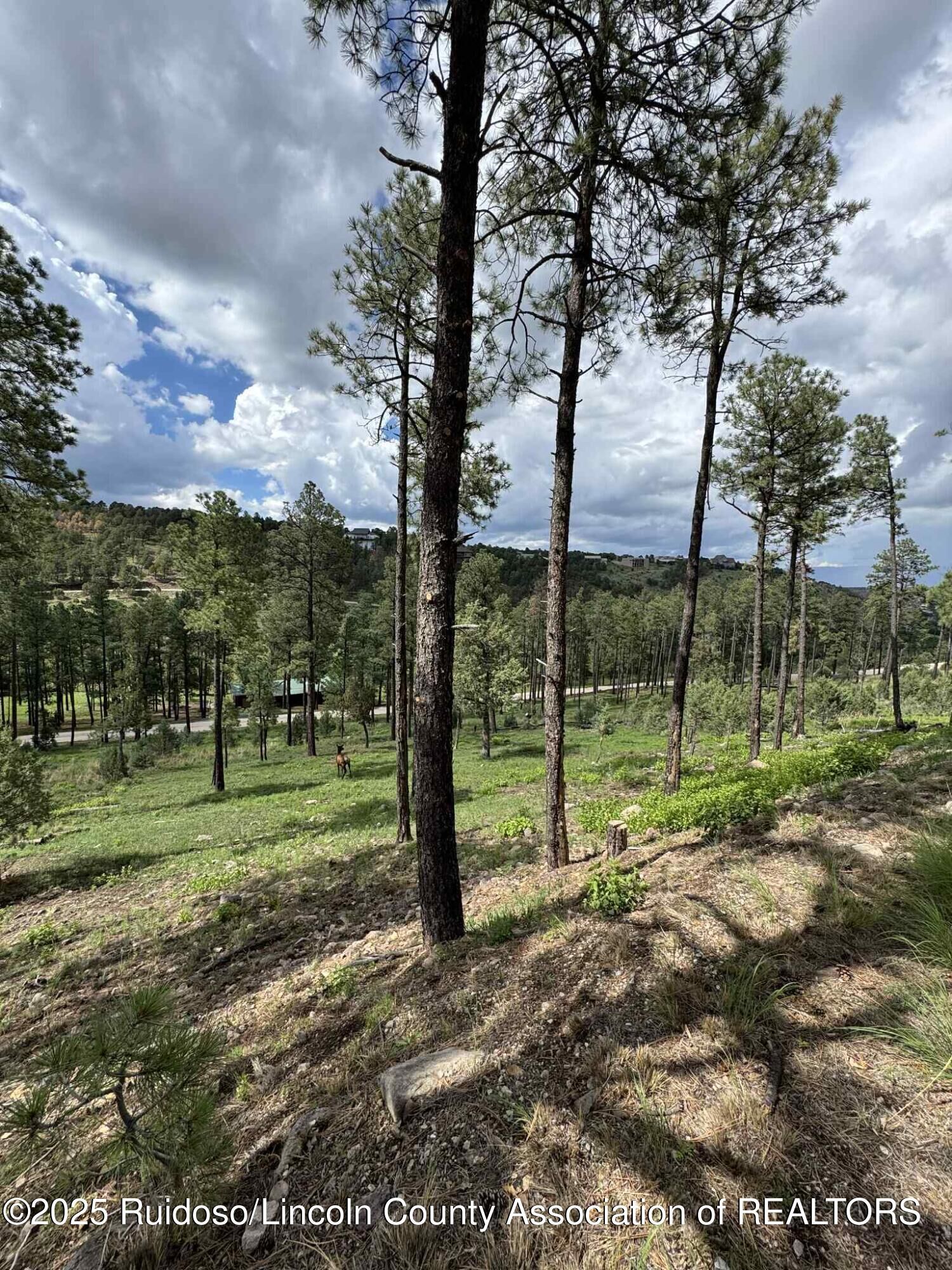Property Photo:  Lot 68 El Camino Drive  NM 88312 