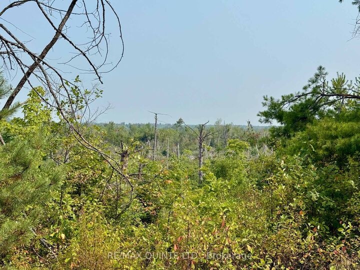 Property Photo:  0 Potter Settlement Road  ON K0K 3J0 