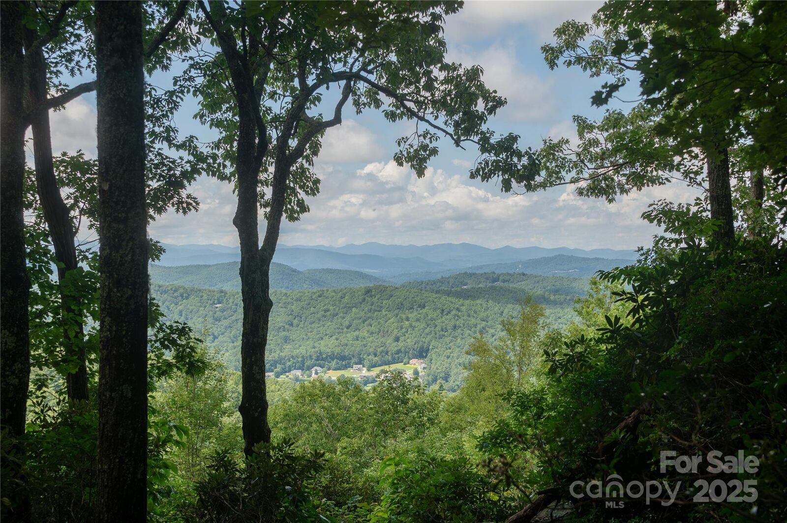 Property Photo:  15 Rambling Creek Road  NC 28739 