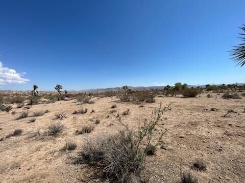 Property Photo:  0 Buena Vista Drive  CA 92284 