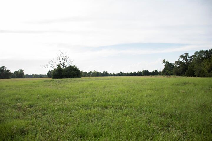 Property Photo: 1202 County Road 2255 TX 75844