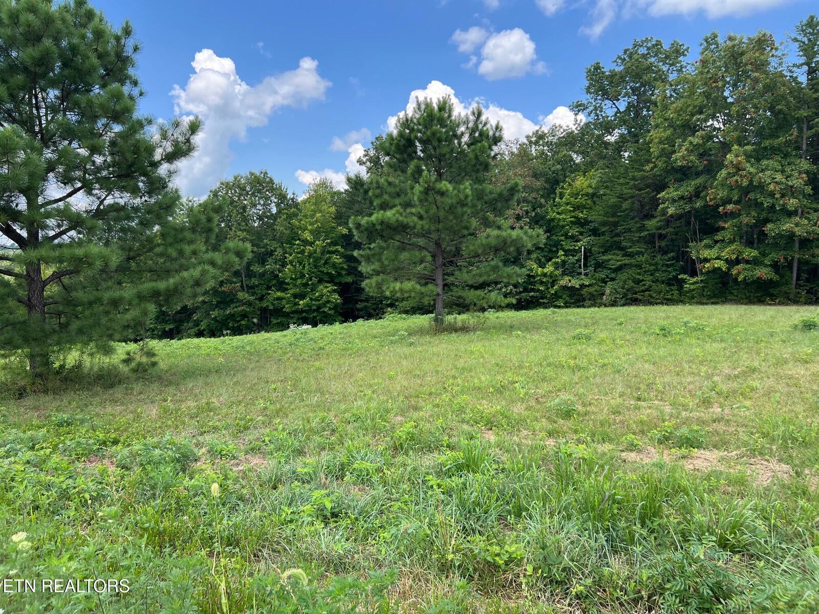 Property Photo:  Lot 55 Canter Hill  TN 38556 