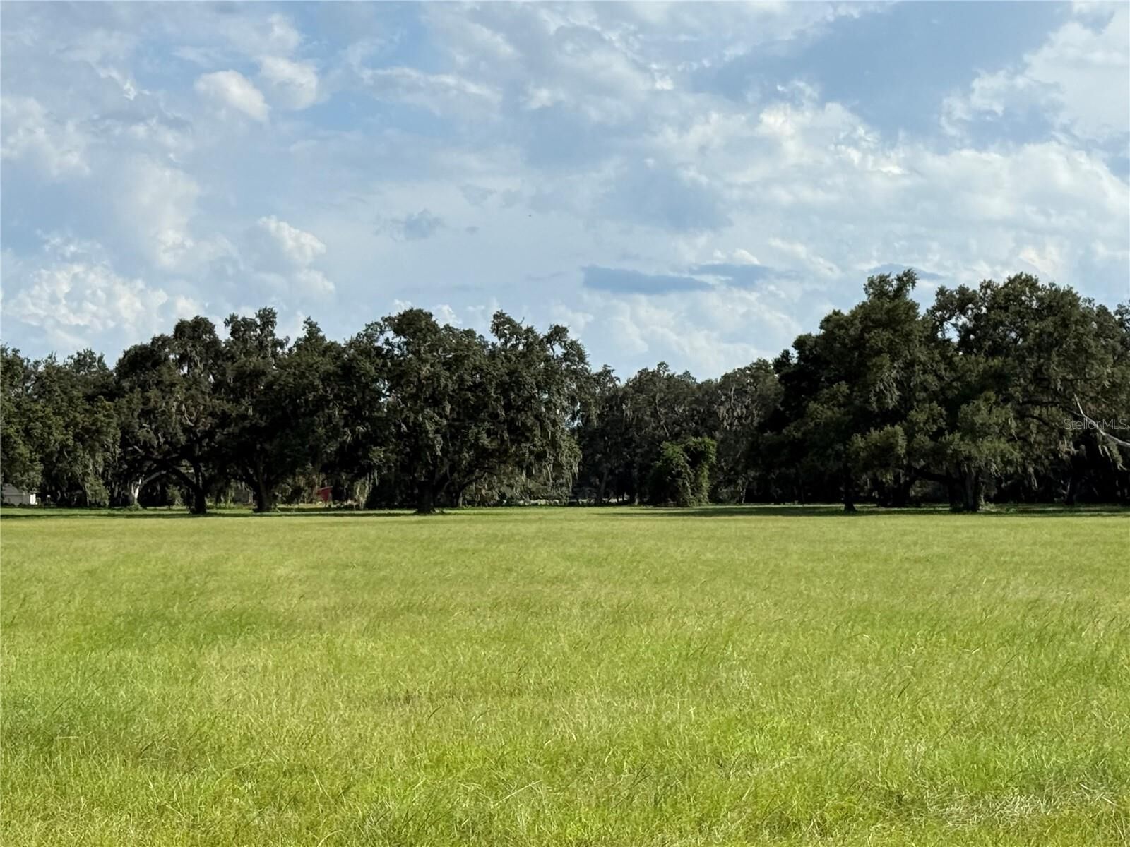 Property Photo:  C 478A  FL 33597 