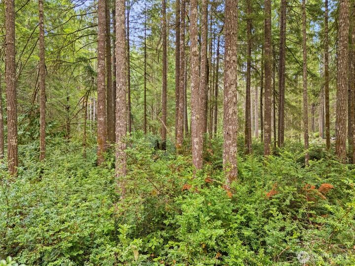Property Photo:  0 Tr1 E Harstine Island Road N  WA 98584 