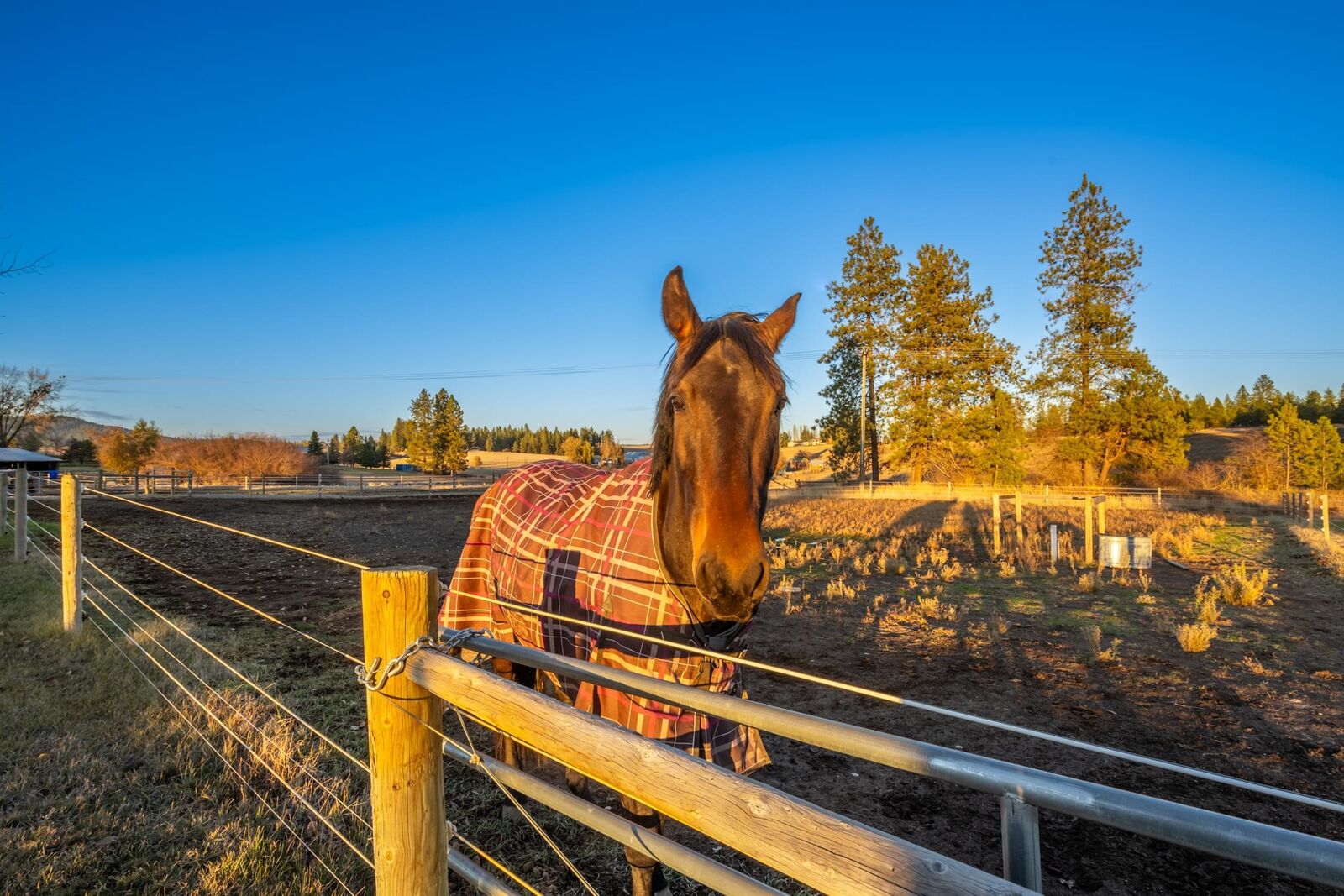 Property Photo:  13000 S Sands Rd  WA 99036 