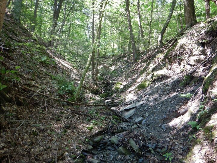Property Photo: 0 Starks Road NY 14867