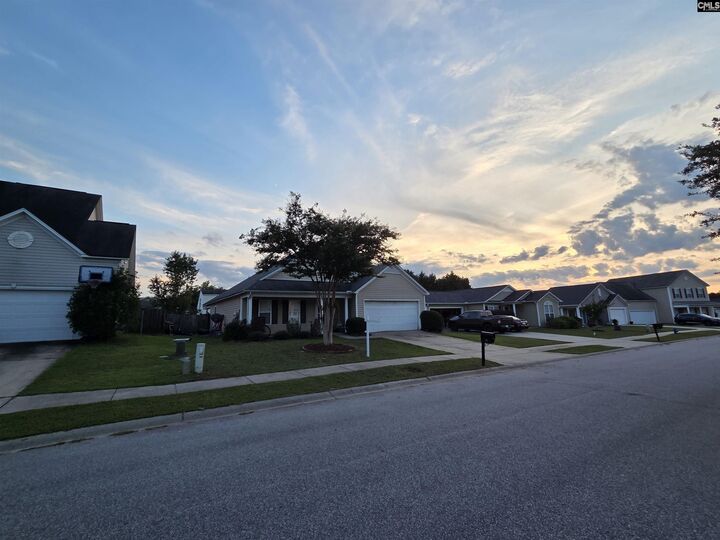 113 Harvest Grove  Lexington SC 29072 photo