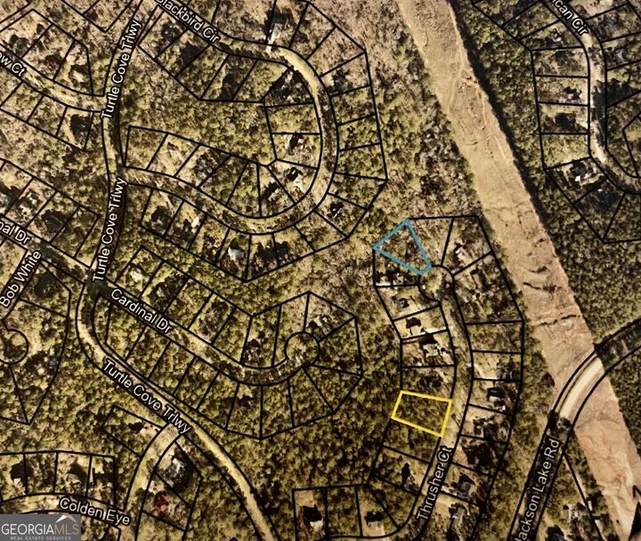 Property Photo: 0 Thrusher Court Lot 17 GA 31064