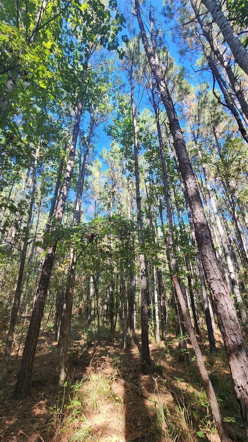 Property Photo: Lot 228 Ranches At Lone Star Ridge TX 75851