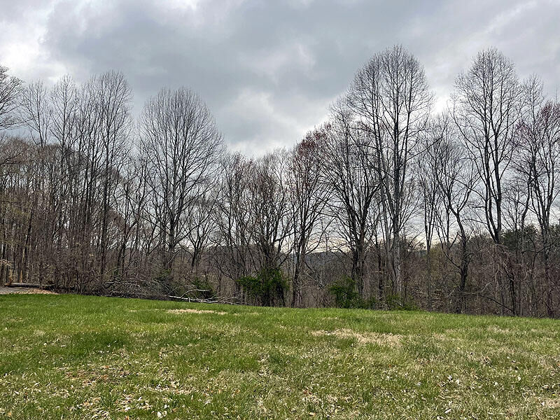 Property Photo:  Lot 92 Stillwater  KY 42642 