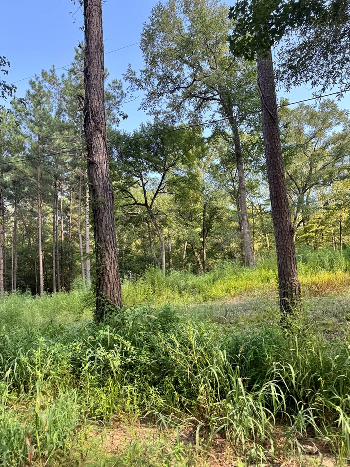 Property Photo:  Pt Of 560 McKindree Rd  TX 75901 