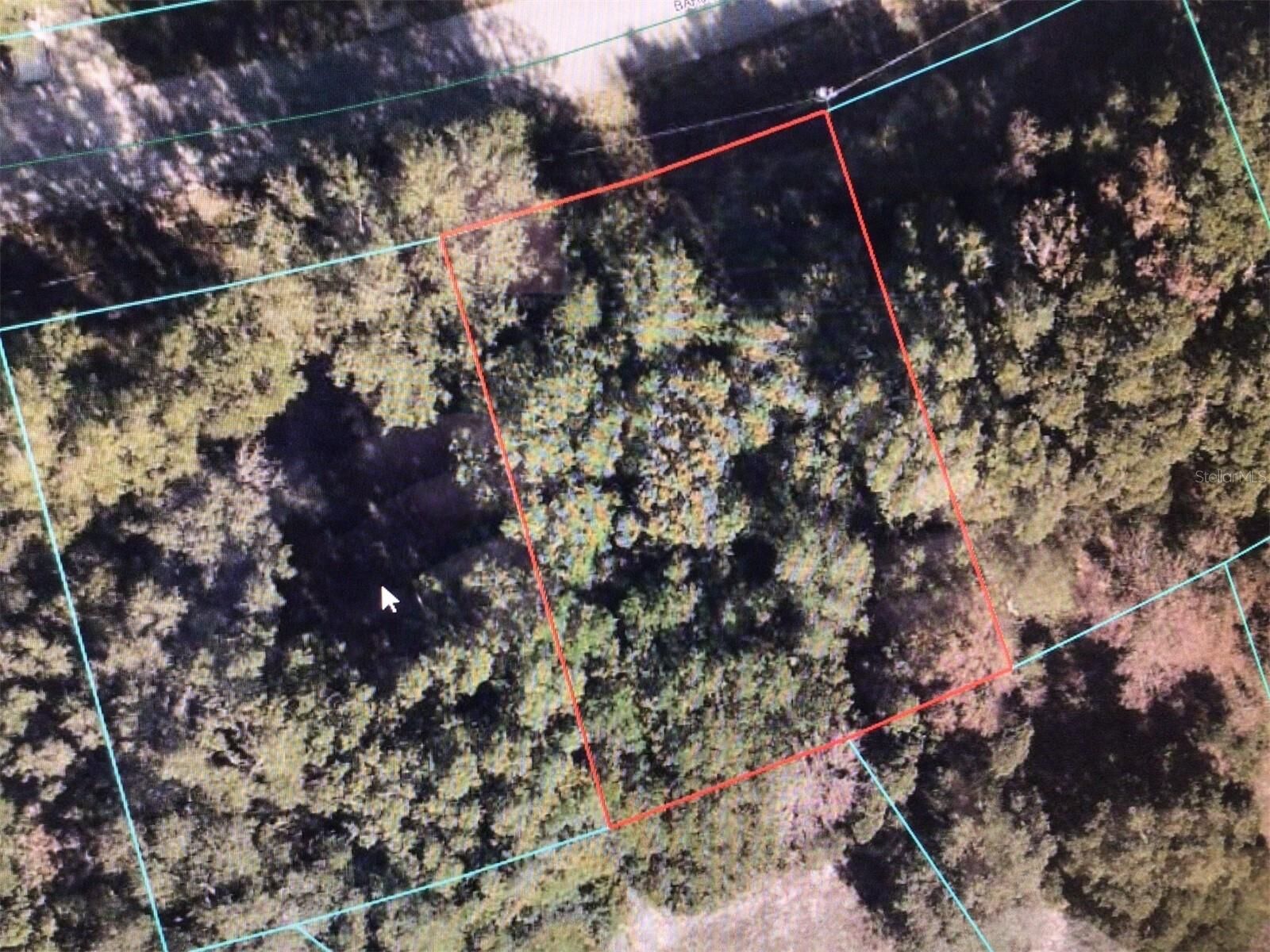 Property Photo: 0 Bahia Pass Drive FL 34480
