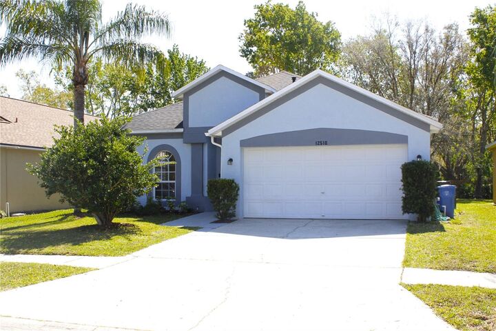 12510 Sparkleberry Road  Tampa FL 33626 photo