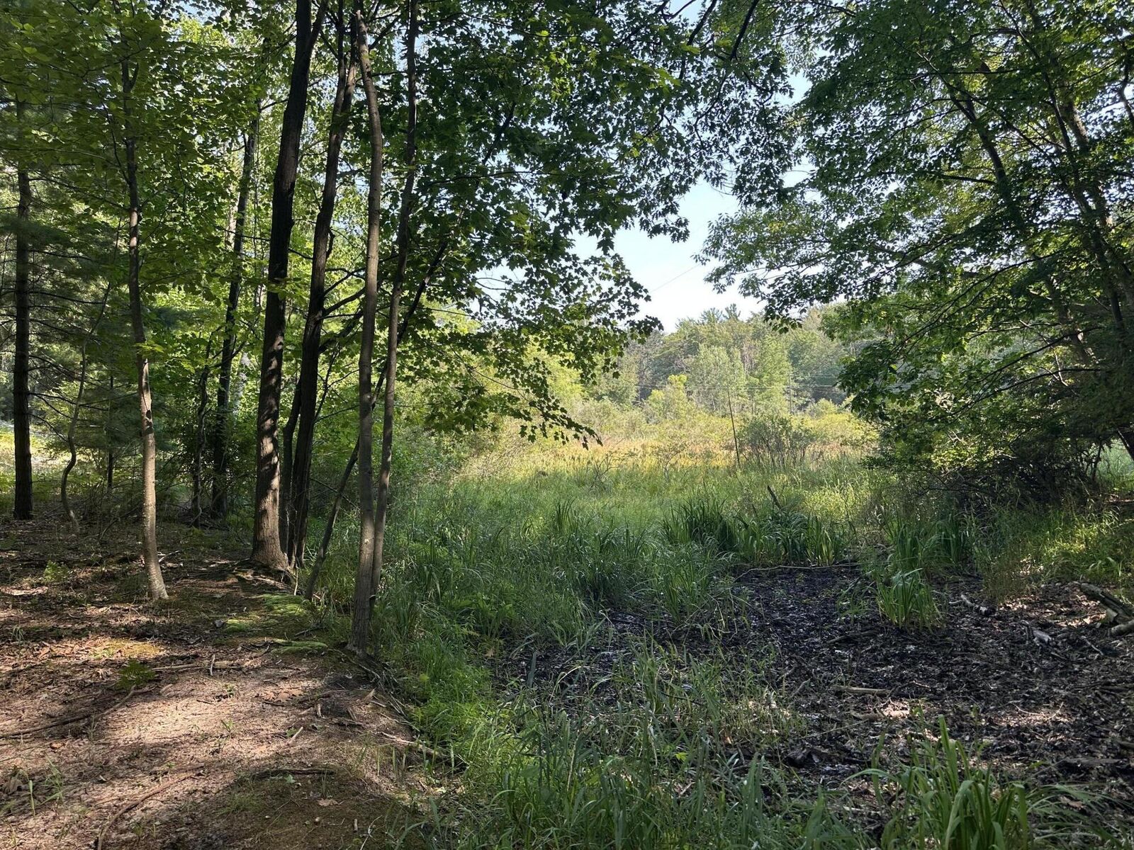 Property Photo: 0 Fruitvale Road MI 49437
