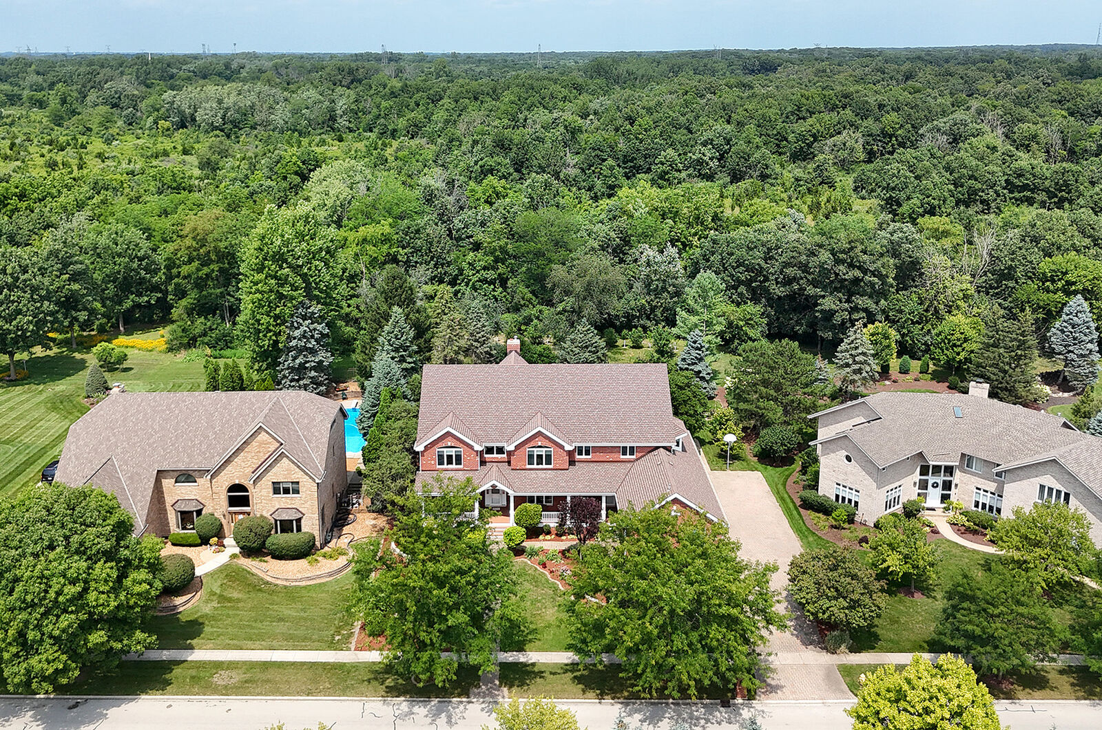 Property Photo:  12444 Lake View Drive  IL 60467 