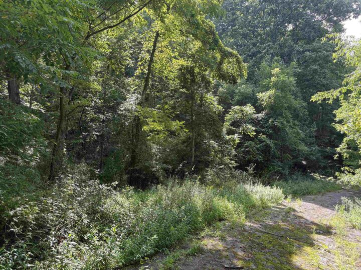 Property Photo:  Tbd Virginia Avenue  VA 24128 