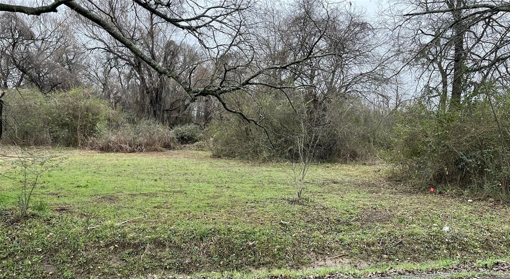 Property Photo:  1024 NE 3rd  TX 75460 