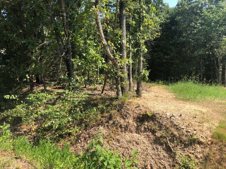 Property Photo:  Lot 32 Belgravia Drive  AR 72715 