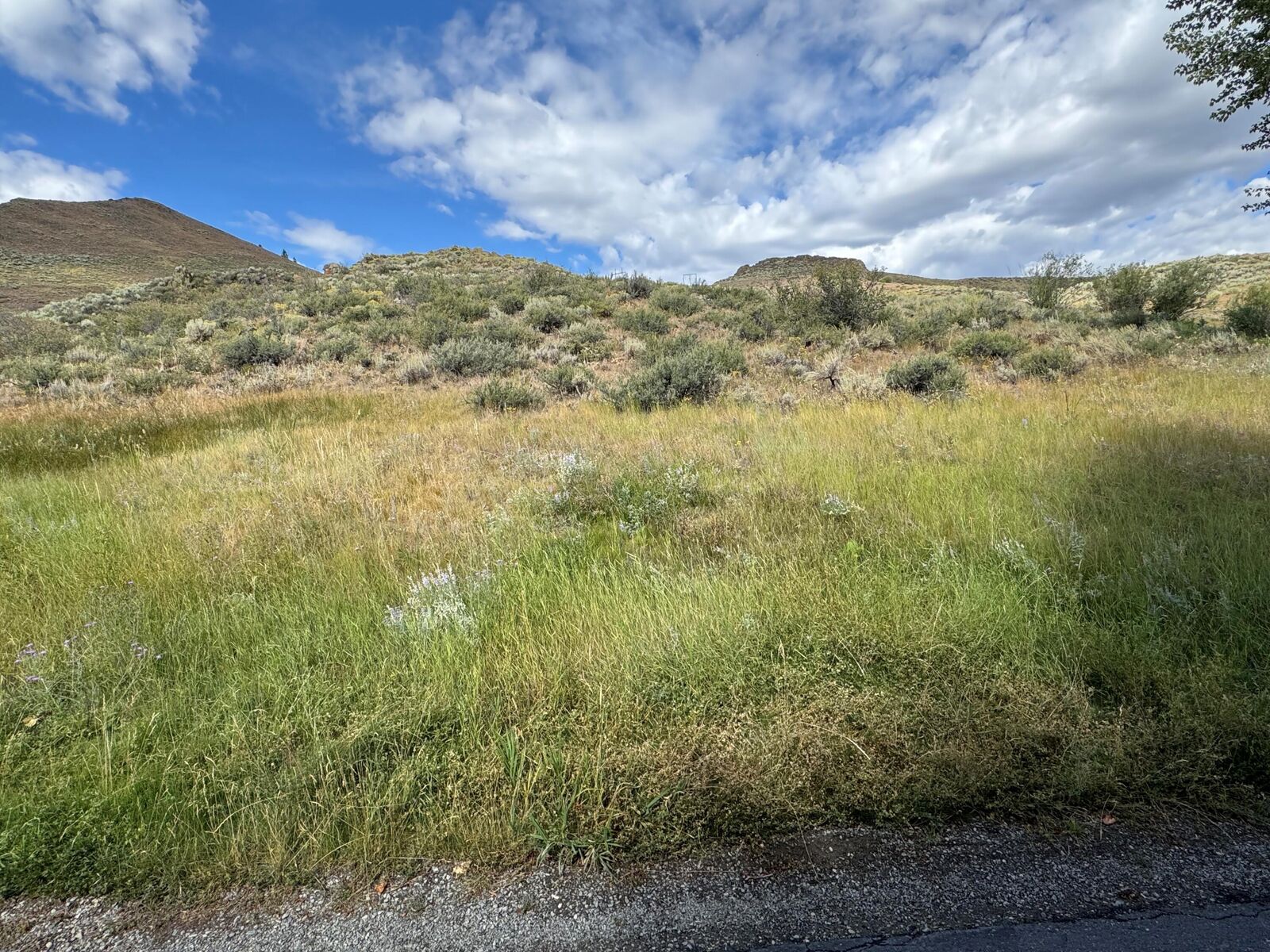 Property Photo: 206 Meadowridge Rd ID 83353