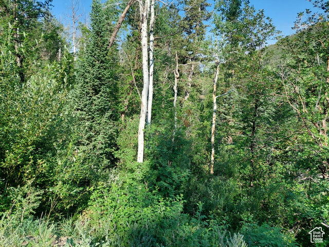 Property Photo: 819 North Fork Rd 819 UT 84629