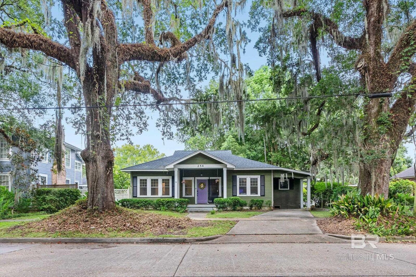 Property Photo:  254 Park Avenue  AL 36607 