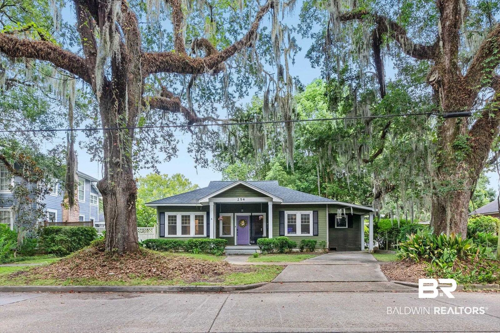 Property Photo:  254 Park Avenue  AL 36607 